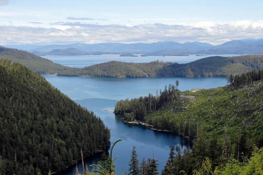 Reserves: A carbon project in southern Alaska, US, supported by Finite Carbon. BP has acquired a majority stake in the forest carbon offset developer.