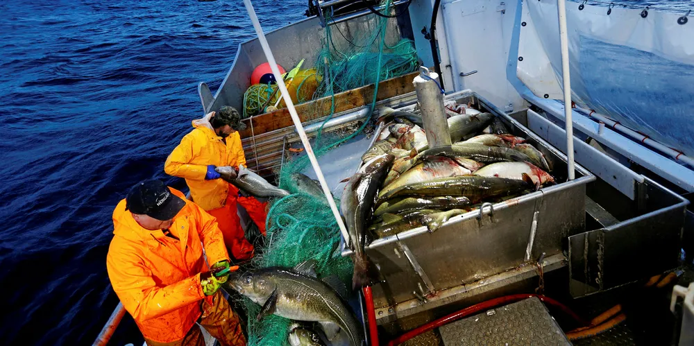 FULLE RETTIGHETER: Enten det er båteiere eller mannskap som er medlemmer i Fiskarlaget Nord, vil de ha fulle rettigheter som medlemmer i Norges Fiskarlag i de tre årene før en utmeldelse trer i kraft.