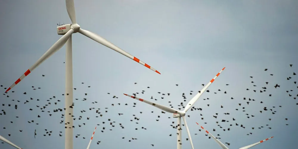 Wind turbines at Lake Ostrowo, Poland. Pic: Sisse Brimberg & Cotton Coulson