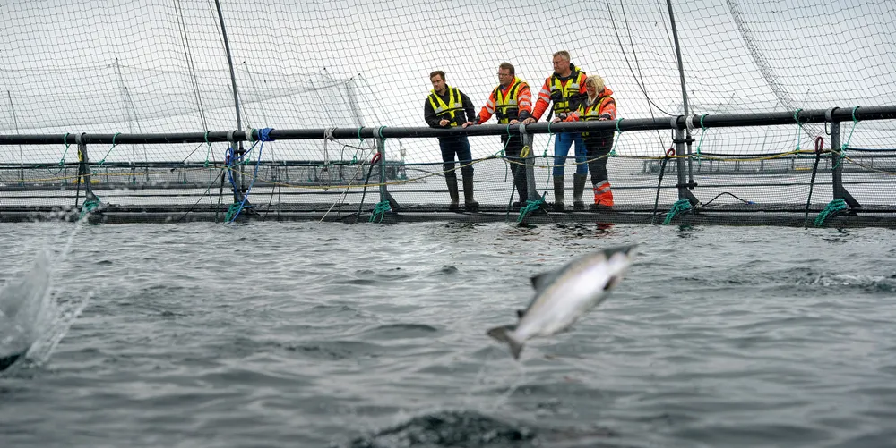 Lakseoppdrett i nord. Her en lokalitet til Salmar på Senja. Det er Troms og Finnmark fylkeskommune som har ansvaret for havbruksforvaltningen i den nordligste regionen.