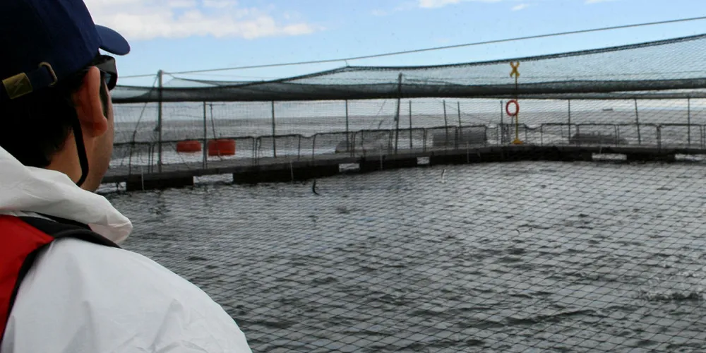 Chile's coho season hit record levels in 2018/2019.