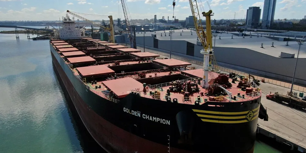 Golden Ocean's 208,400-dwt newcastlemax Golden Champion (built 2019) loaded logs at the port of Montevideo, Uruguay during April this year, thought to be the first time a vessel of its size has done so.