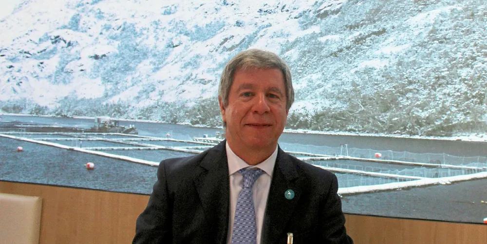 Chilean Army suspends four Nova Austral salmon concessions