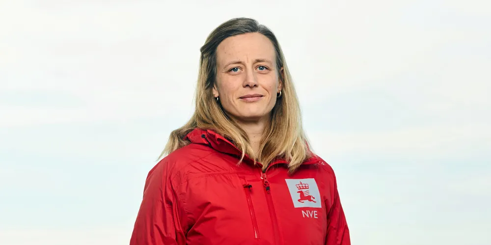 Lisa Vedeld Hammer, seksjonssjef for nettkonsesjoner i NVE, mener søkerne kan bidra til kortere konsesjonskøer.