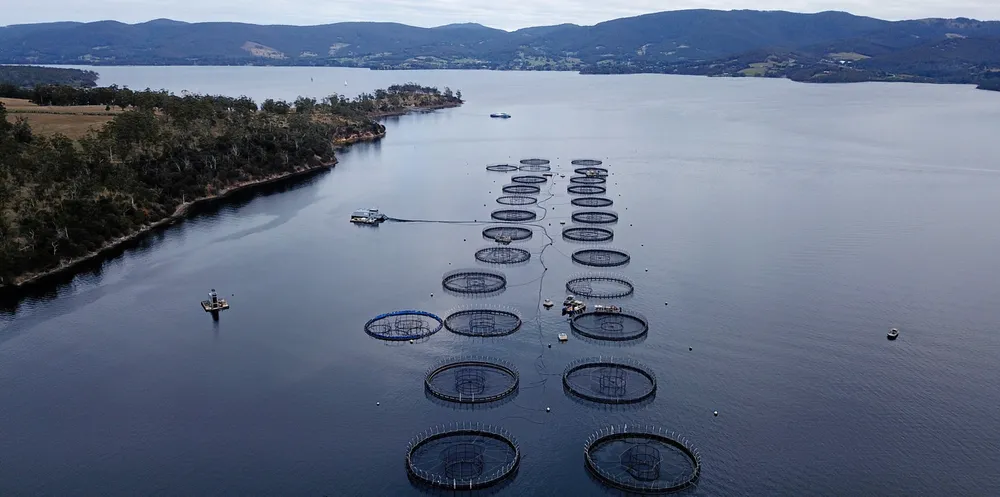 The Australian Workers Union appears intent on protecting the future of sites such as Salmon Pond Farm off the coast of Bruny Island, Tasmania
