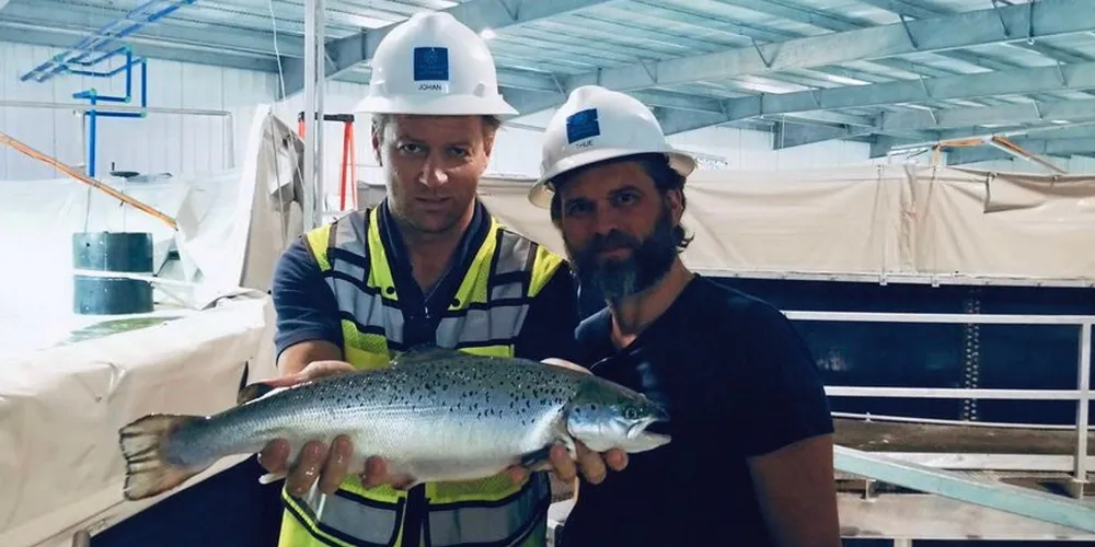 Atlantic Sapphire's Johan Andreassen with one of the company's land-based salmon.