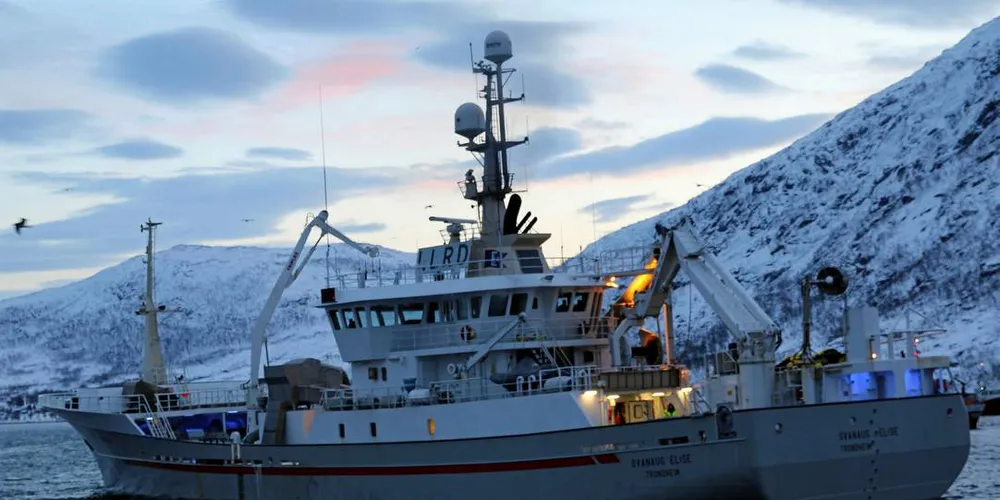 KJAPP PÅ AVTREKKEREN: Trønderbåten «Svanaug Elise» er først på makrellen igjen for tredje år på rad. Her er båten fotografert på sildefiske i Ersfjorden i Troms, i vinter.