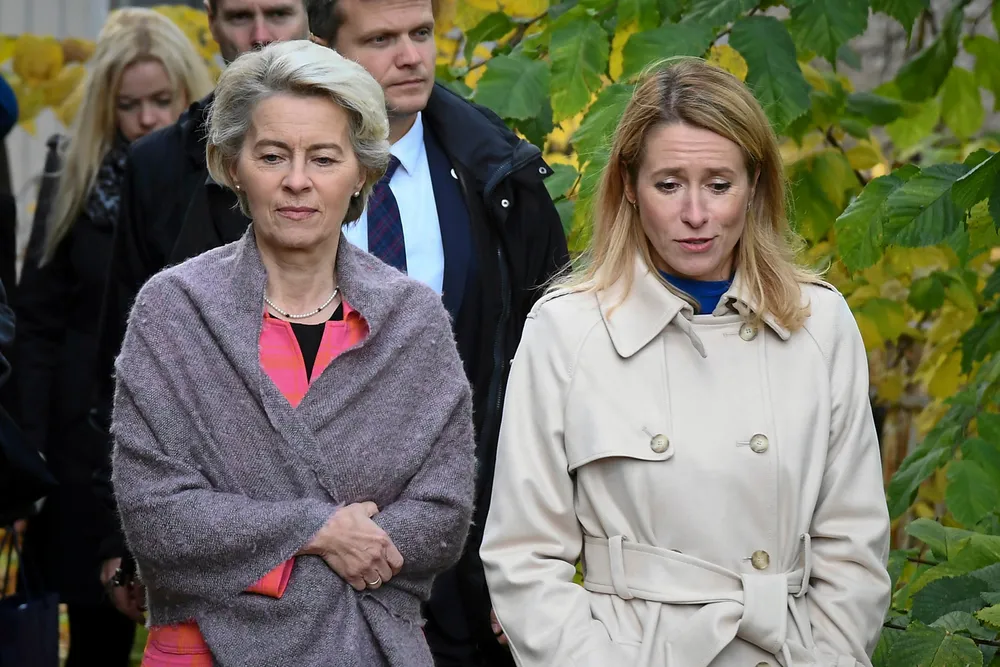 Wrapping up: European Commission President Ursula von der Leyen is working to help ease the EU’s gas crunch this winter