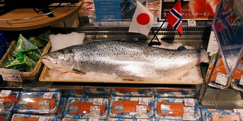 NORSK LAKS I JAPAN: Fremdeles er det en betydelig prispremie på stor fisk i flyfraktmarkeder som Japan, Kina, Sør-Korea og Taiwan. Prisutviklingen er imidlertid negativ og eksportprisen på fersk laks falt med åtte prosent i september.Arkivfoto: Norges sjømatråd
