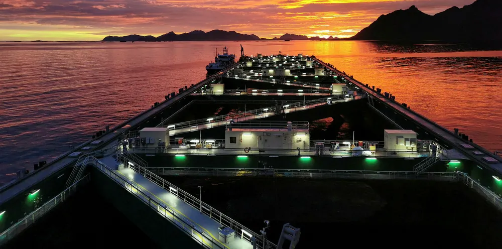 Jostein Albert, Nordlaks' open-ocean salmon farm.