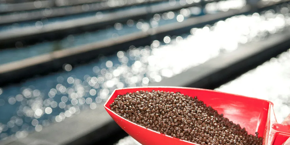 Scooping up new markets and species.