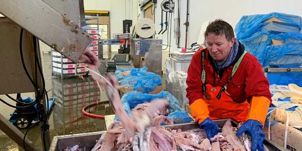 SKIFTET BEITE: Politikerne må legge rammene bedre til rette for industrien, slik at ansatte som Terje Andresen kan tilbys mer enn en sesongjobb ved anleggene i nord.