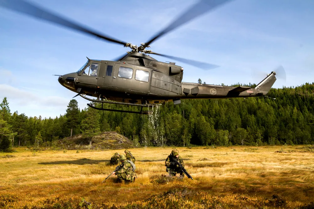 De mest alvorlige manglene knytter seg til Hærens størrelse og materiell, forsvaret mot ballistiske missiler og kryssermissiler, og Sjøforsvarets volum.