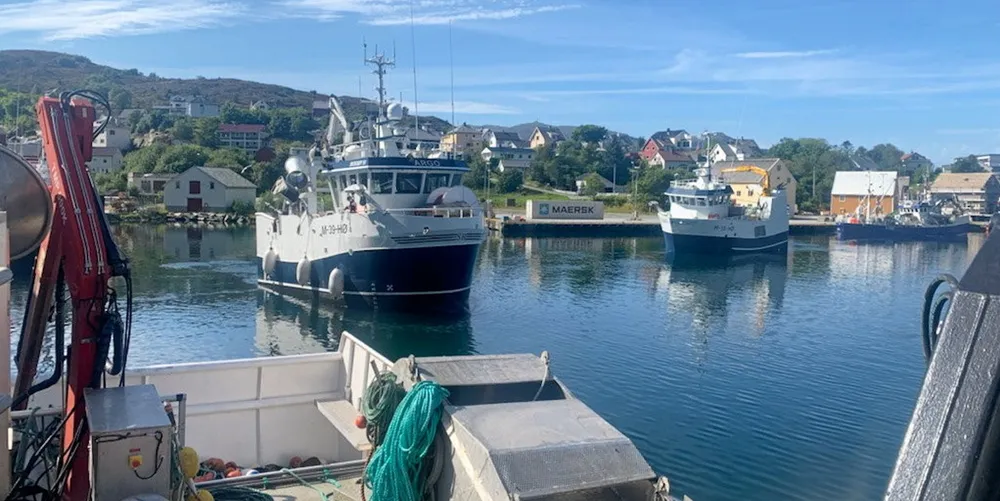 Regjeringen kan velge flere varianter av inngrep, fra rene tilbakekall av gitte tillatelser, tidsbaserte overgangsregler eller nektelse av søknader om kvotetilpasninger eller utskiftning av fartøy, skriver to partnere i Sands Advokatfirma.