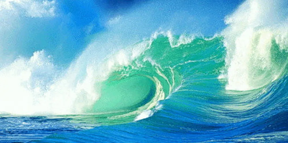 Editor's Picks: A supply tsunami, a warning for retailers, and a chapter closes on land-based salmon