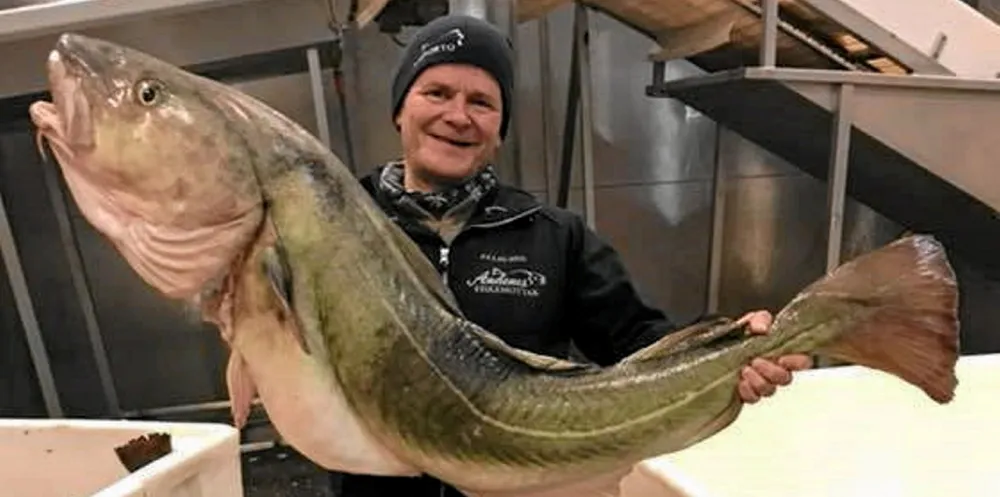 LEIER ARBEIDSKRAFT: Leif Kvivesen hos Andenes Fiskemottak venter å ta inn nærmere 50 arbeidere fra Øst-Europa under vinterfisket.