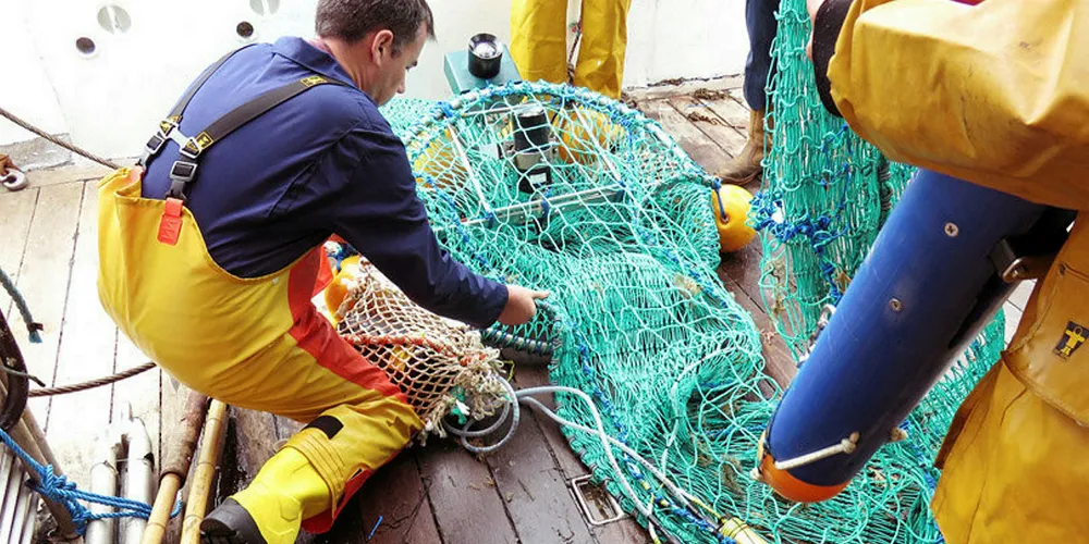Tech start-up claims to reduce bycatch by up to 90% using LEDs