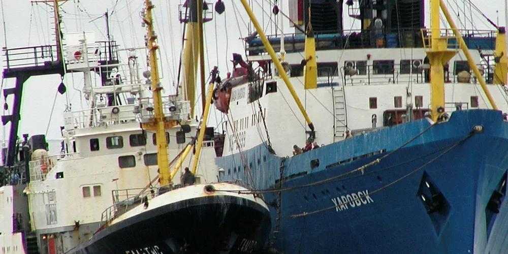 KARANTENE: Mannskapene må i fjorten dagers karantene etter de har vært å omlastet fisk i Barentshavet.