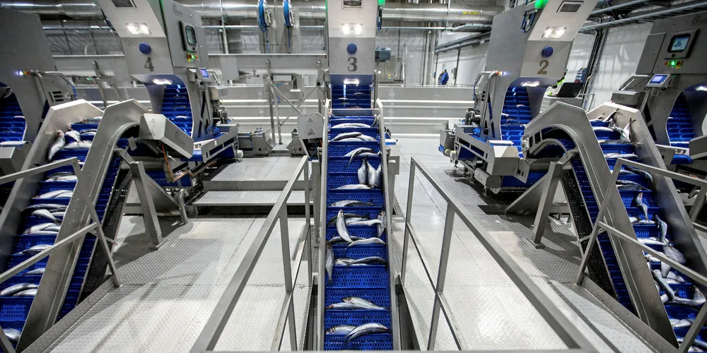 Skaginn 3X is aiming to develop the Russian, CIS markets.