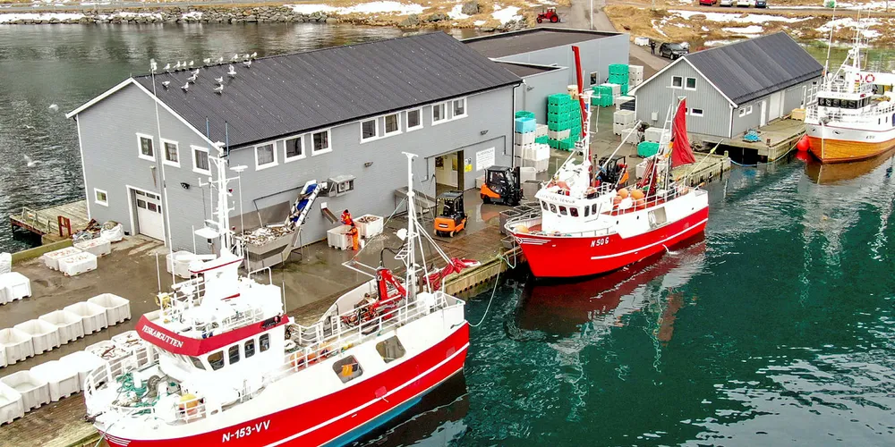 RUSTER OPP: Steinfjorden Sjømat as, som drives av Gylseth-slekta fra Sakrisøy på Reine, har de senere årene investert mye midler i mottaksstasjonen på Eggum og ved sitt hovedanlegg på Tangstad på yttersida var Vestvågøy.