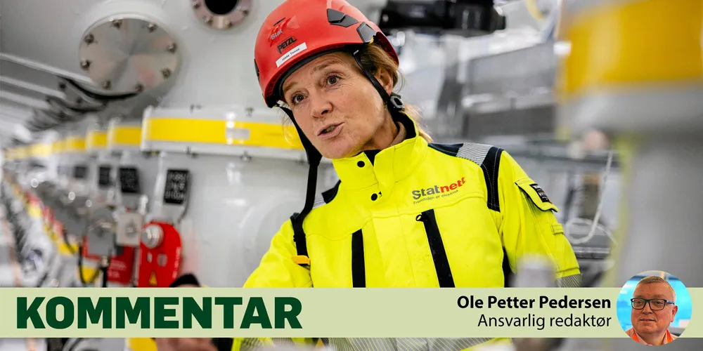 Terje Aasland bør lytte til og la faginstanser tale fritt. Det inkluderer Statnett-sjef Hilde Tonne, skriver artikkelforfatteren.