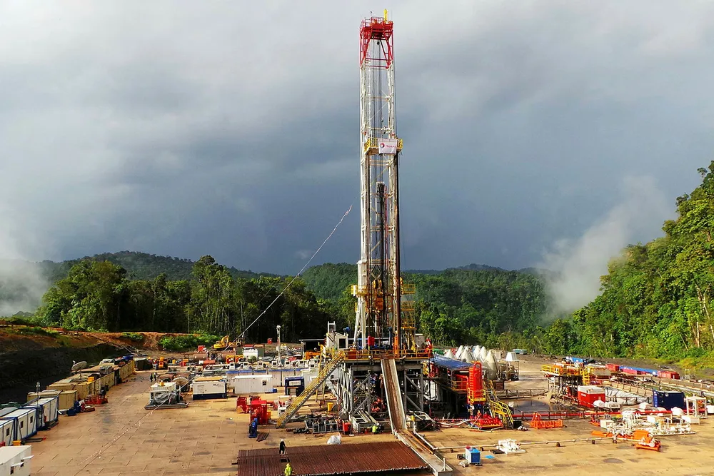Feedstock: the Papua LNG project will commercialise the Elk-Antelope field