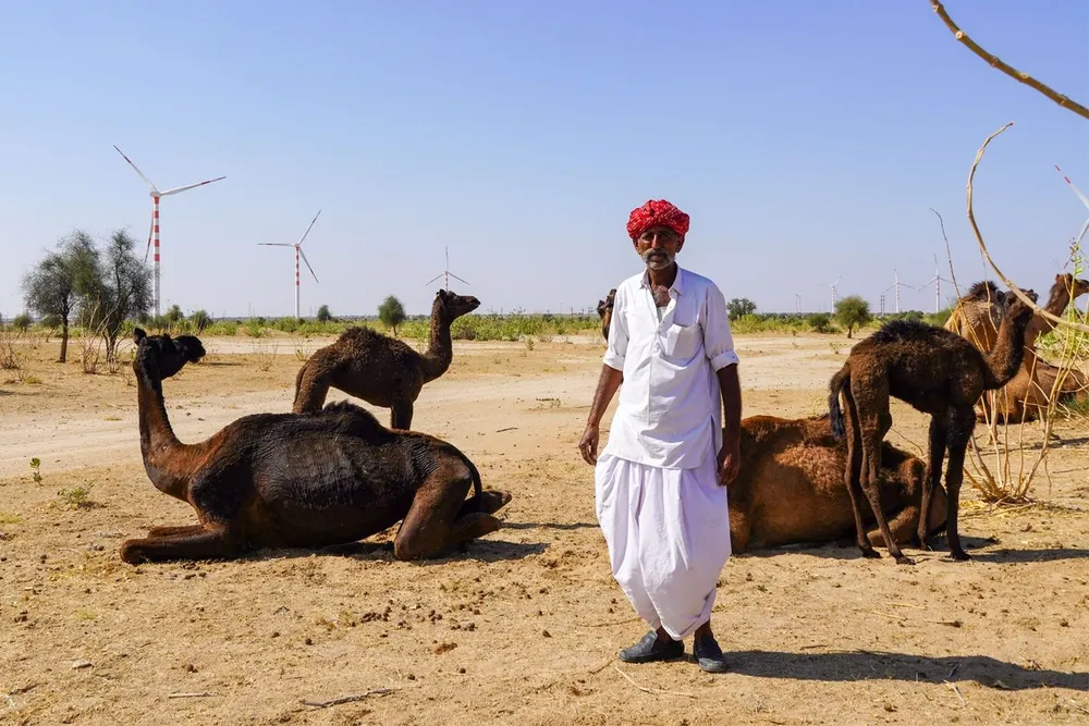 Rajasthan's Thar desert is hosting a massive expansion in wind and solar projects, but not everyone is happy about this