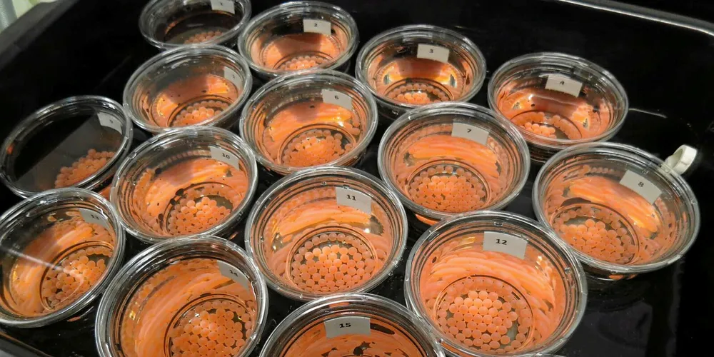 Aqua Spark has ambitious plans in aquaculture technologies.