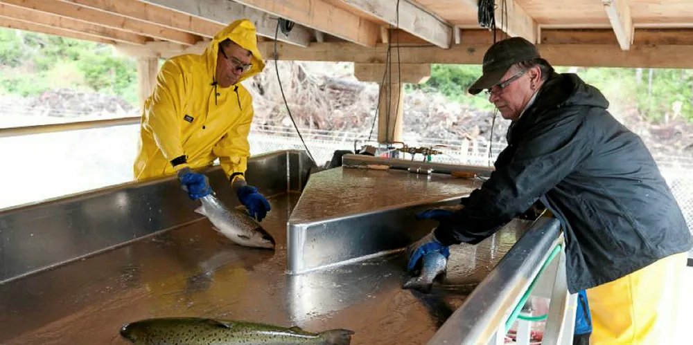 Whole Oceans' holding company, Kuterra looking to restructure deal