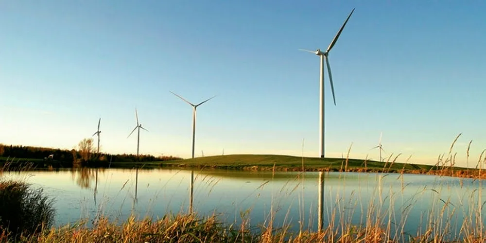 An EDPR wind farm. The company has one of the world's largest fleets. Pic: EDPR