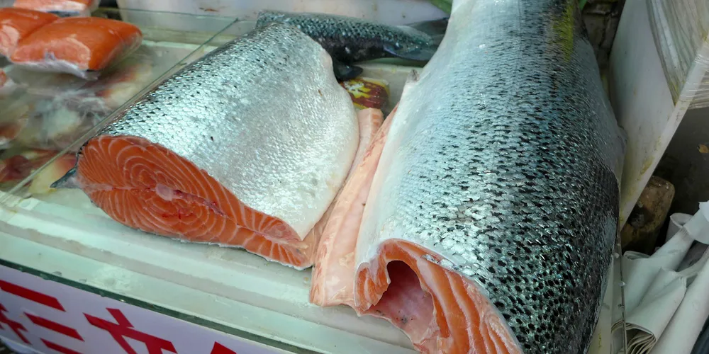 How did I get here? Norwegian salmon exporters have been exporting to a burgeoning Vietnamese market, but some say they knew full well the end user was in China.