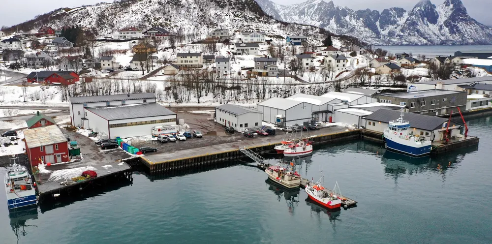 Her, ved Vesterålen Havbruk Produksjonslag, tidligere Holmøy Fiskemottak, skal det slaktes store volum oppdrettstorsk de kommende årene.