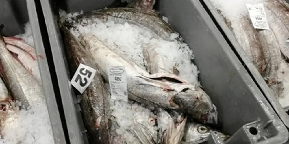 French primary processors say they are suffering from "a brutal reduction" in fish supplies.