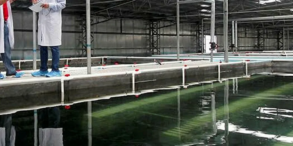 Sino Agro Food - Zhongshan MegaFarm