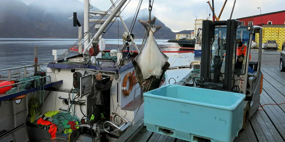 GOD KVALITET: Det er kveitetid. Fisker Kurt Borg fra Korsfjorden i Alta leverer to fine eksemplarer til bruket i Øksfjord.