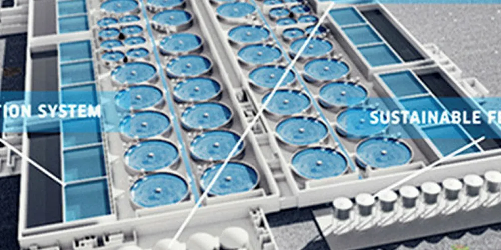 Pure Salmon: Incentives to grow.