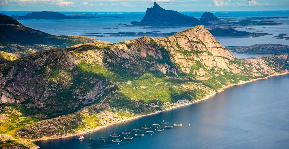 The world's 15 largest salmon producers harvested 2.2 million metric tons of salmon in 2023, accounting for 66 percent of total global production.