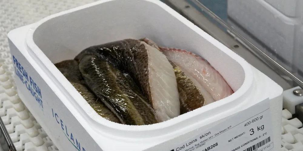 Iceland-based Vinnslustodin's acquisition of Leo Seafood and Os will give the group an improved position supplying a range of North Atlantic fish to European and US markets.