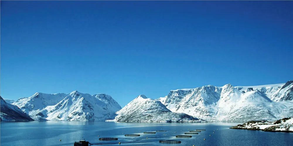 Det er mange kandidater som kan fortjene en pris i norsk sjømatnæring. Men hvem mener DU fortjener den? Send inn ditt forslag nå.