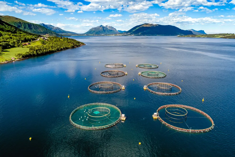 Norwegian lawmakers have reached agreement on the government's new aquaculture policy.