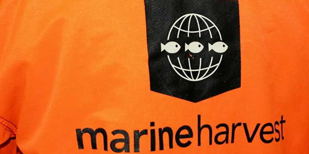 Under new colors: Marine Harvest Lorient