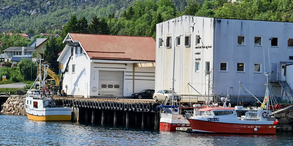 Lofoten Sea Products i Lødingen har holdt på siden 2017. I år er første gang de åpner så tidlig for sesongen.