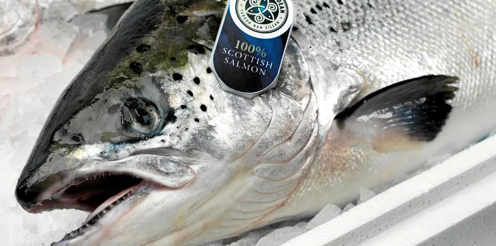 Scottish salmon appears increasingly likely to be caught in the crosshairs of EU-UK dispute over Northern Ireland trade.