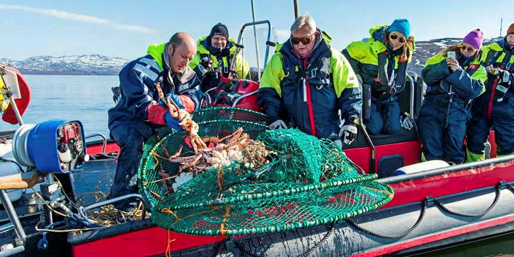 HØY OMSETNING: Kongekrabbeturisme har blitt gull verdt for dem som driver med det. Kirkenes er blitt vekstsenteret i Finnmark for denne type turisme.