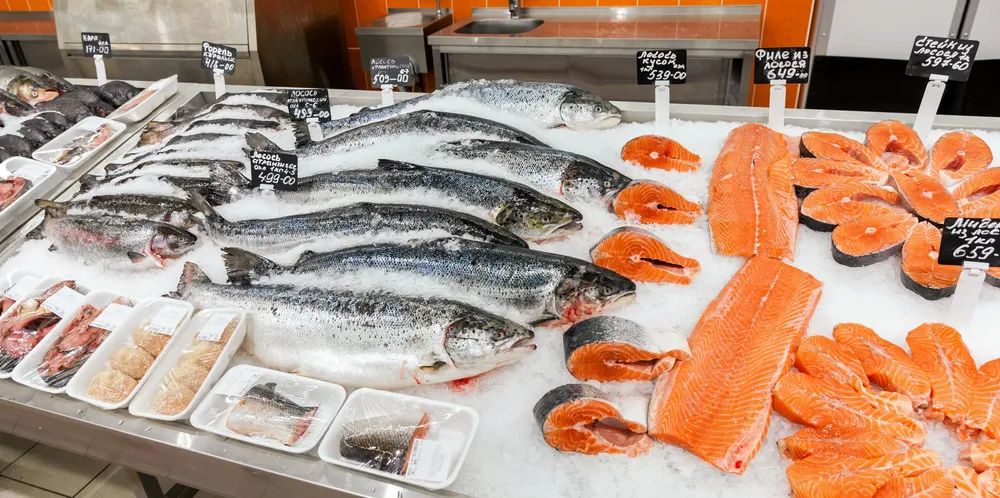 There is plenty of farmed salmon to be found in Russian supermarkets, and that is a problem.