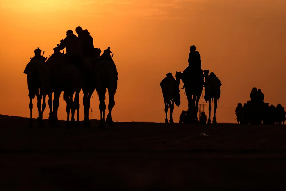 Emirati men walk their camels at sunrise during the Mazayin Dhafra Camel Festival near Madinat Zayed, west of the capital Abu Dhabi.