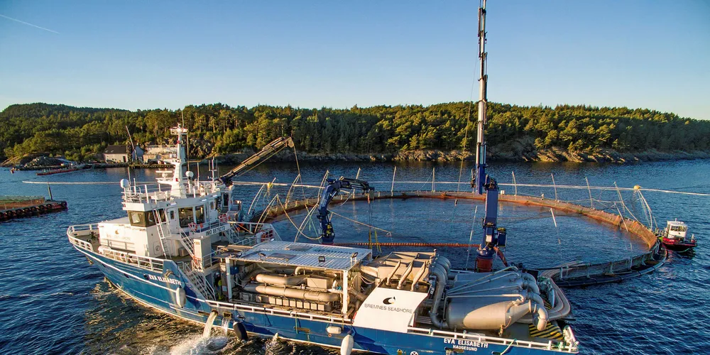 Eva Elisabeth – Bremnes Seashores båt for avlusning med Thermolicer. I desember veltet den ved dokk på Karmøy. Det ble IntraFishs mest leste sak i 2017.