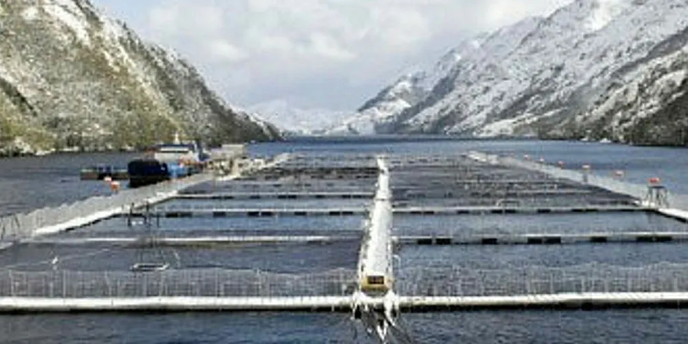 Nova Austral lowers production guidance for 2020