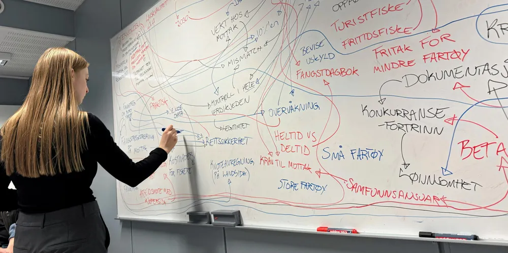Ina Ahlquist fra Sintef noterte under denne månedens workshop i Tromsø.