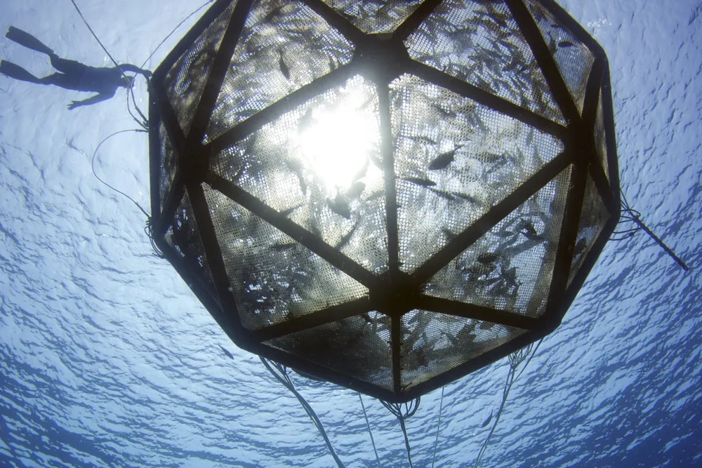 For several years, a proposed demonstration project off the coast of Florida has been seeking approval.